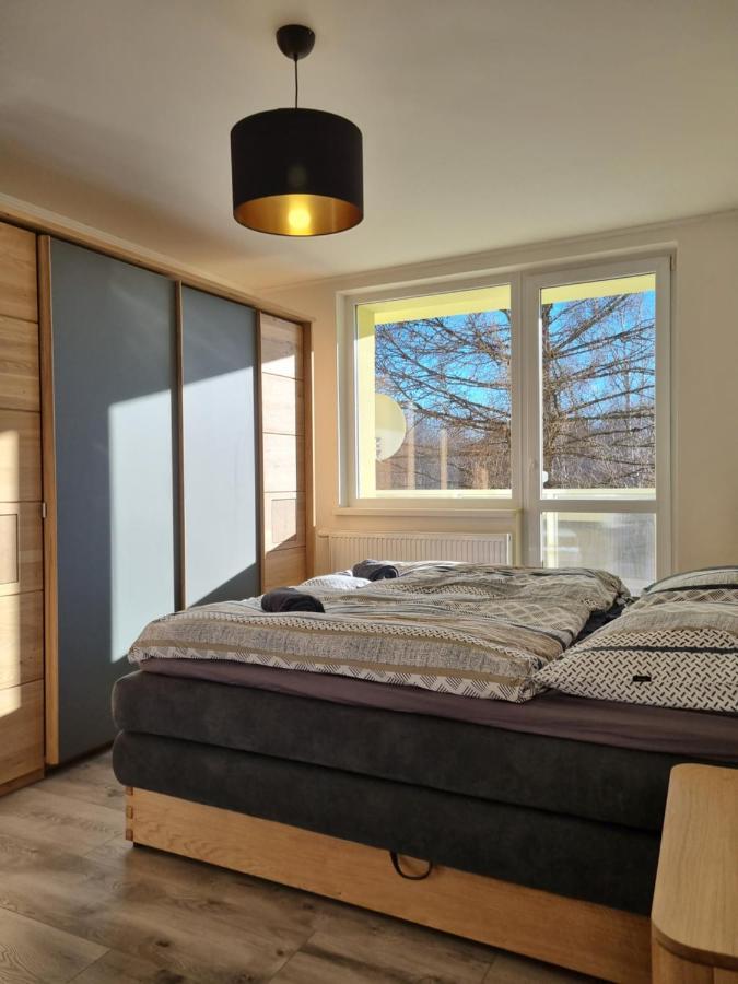 Apartman Lomnicky Stit 塔查斯卡-鲁穆尼卡 外观 照片