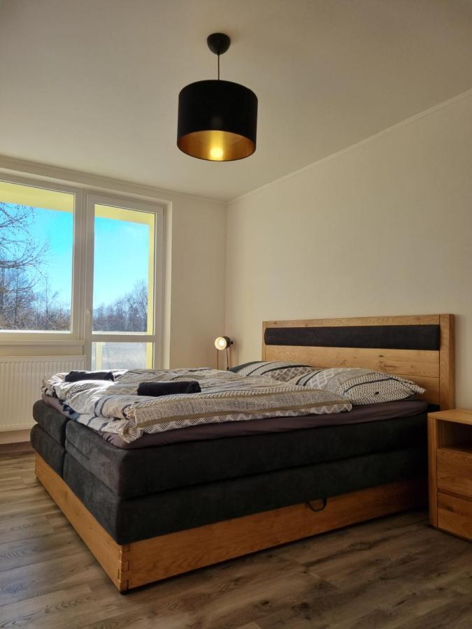 Apartman Lomnicky Stit 塔查斯卡-鲁穆尼卡 外观 照片