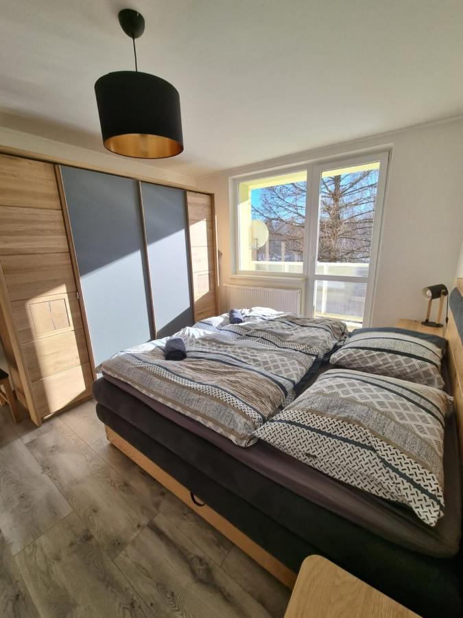 Apartman Lomnicky Stit 塔查斯卡-鲁穆尼卡 外观 照片