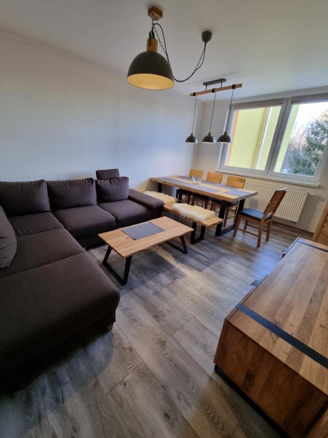 Apartman Lomnicky Stit 塔查斯卡-鲁穆尼卡 外观 照片