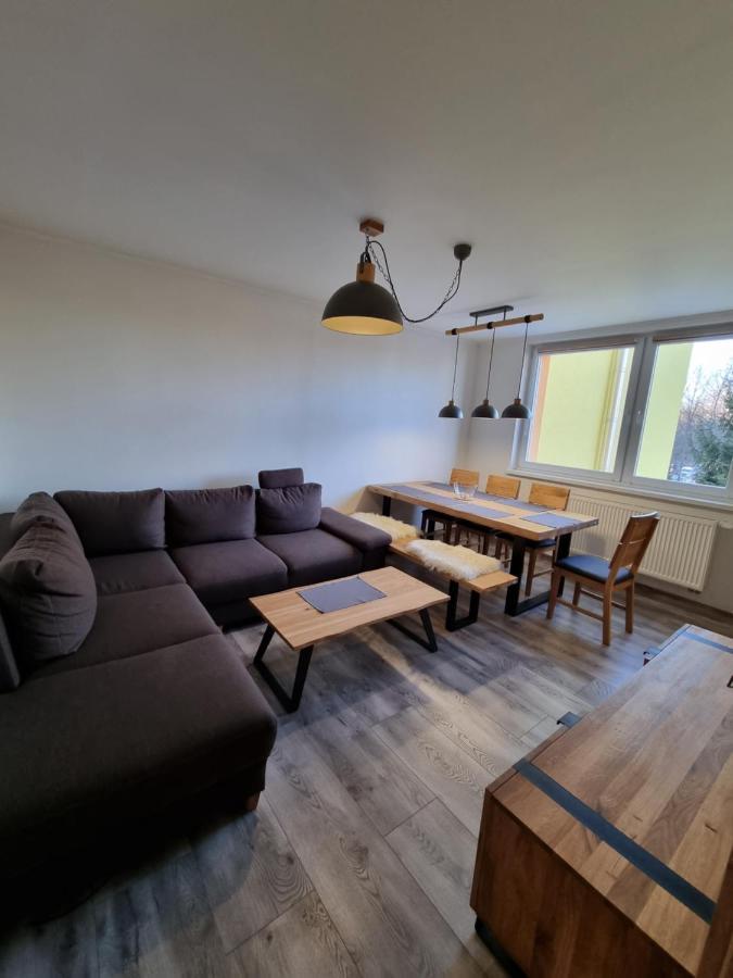 Apartman Lomnicky Stit 塔查斯卡-鲁穆尼卡 外观 照片